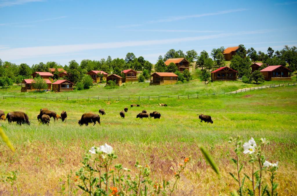 Zion Mountain Ranch Hotel Mount Carmel Junction Kültér fotó